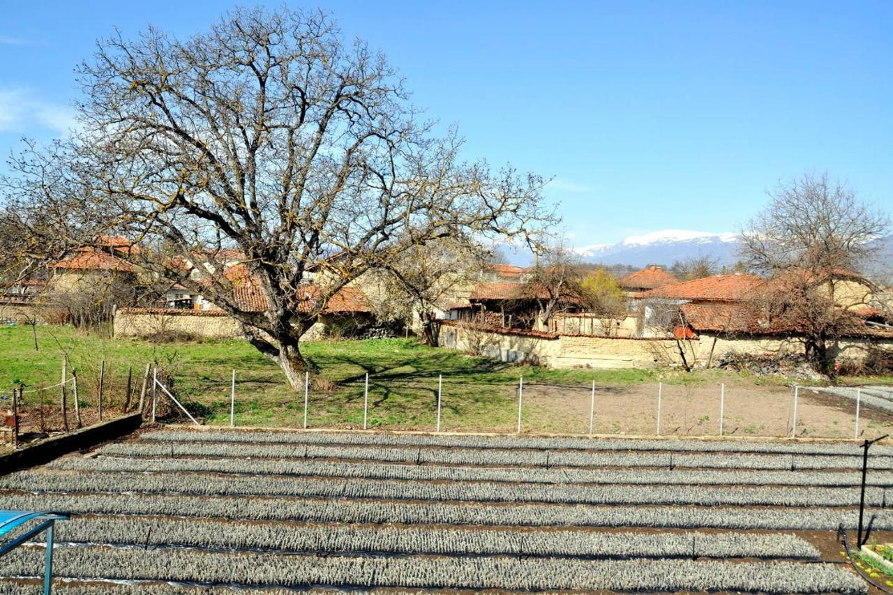 Vila V S. Gabarevo, Dolinata Na Rozite. Villa Exterior photo